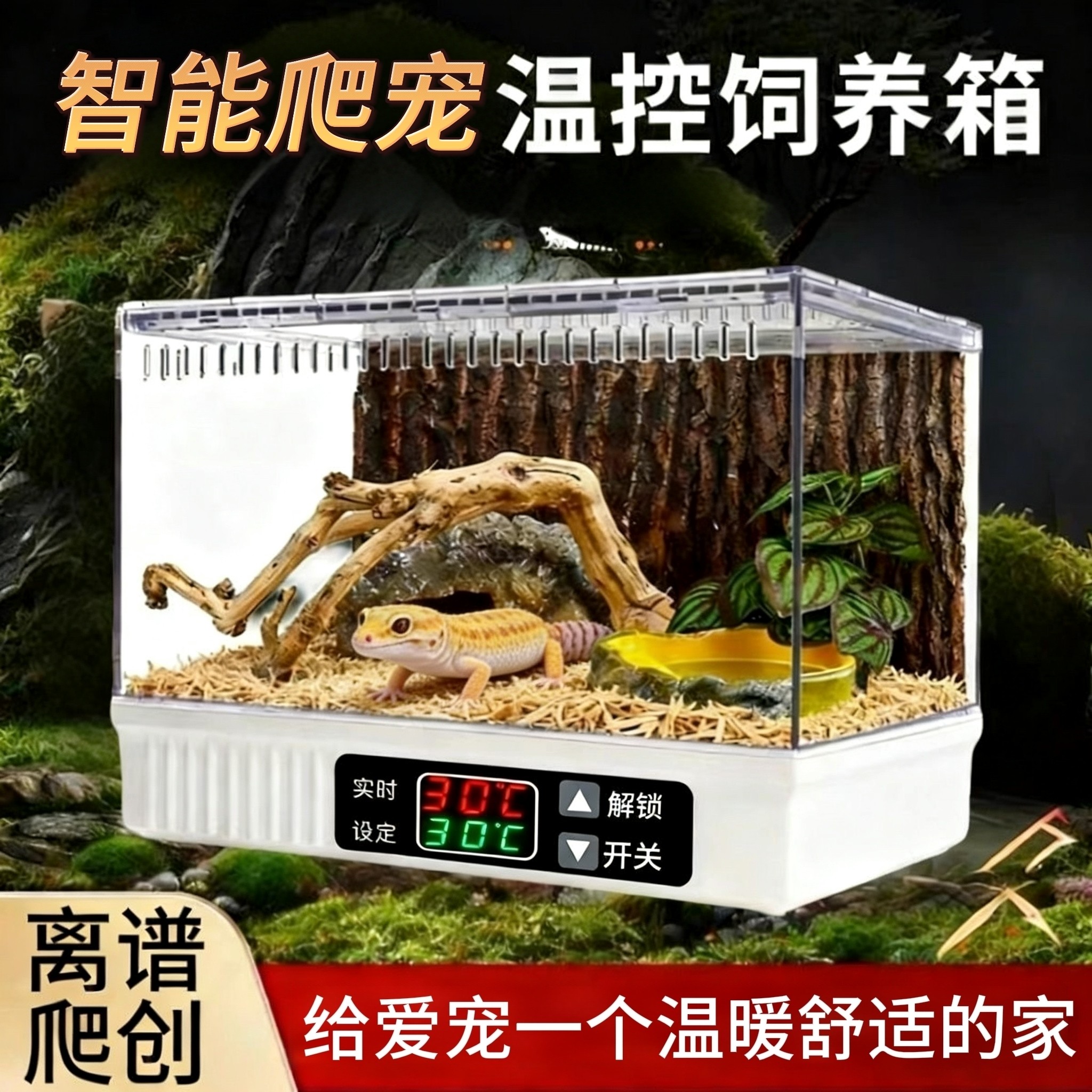 离谱爬创爬宠温控加热恒温饲养箱蜥蜴瘤尾豹纹肥尾守宫蛇蜘蛛造景,淘宝优惠券,粉丝福利购,淘宝优惠卷