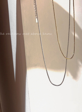 现货速发简约百搭银色蛇骨颈链2021年新款小众不规则合金项链冷淡