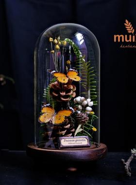 玻璃罩蝴蝶标本植物永生花干花摆件昆虫动物生态微景观礼物礼品