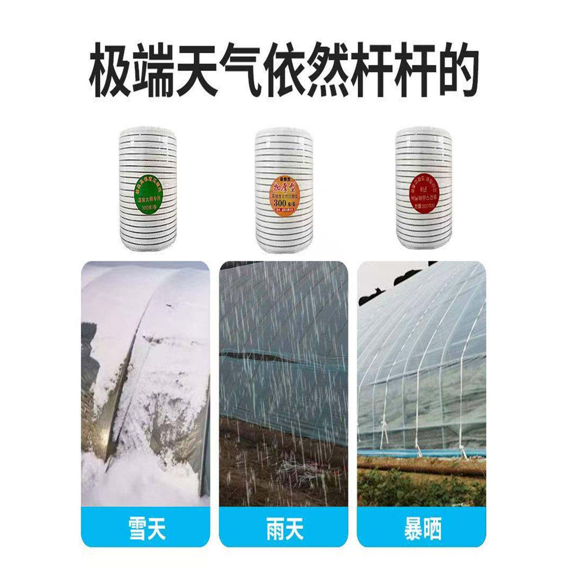 大棚压膜带压膜绳压膜线高强度涤纶丝白色抗老化温室配件专用加厚,淘宝优惠券,粉丝福利购,淘宝优惠卷