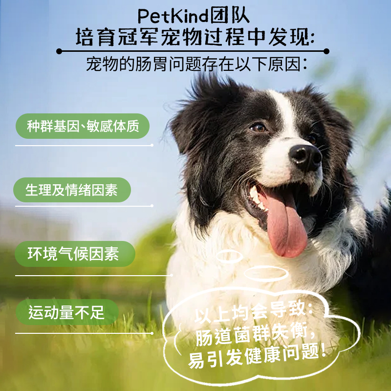 【测试勿拍96】PetKind/贝洛佳官方进口狗狗罐头380g - 图0