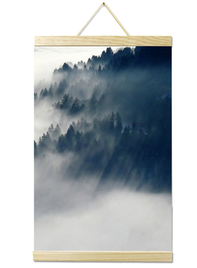 实木挂画卷轴来图订制客厅卧室居家装饰I画实木挂轴画照片图片订