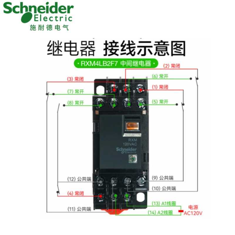 施耐德中间继电器RXM2LB2BD 4LB2P7小型继电器AC220V8脚14脚DC24V - 图2