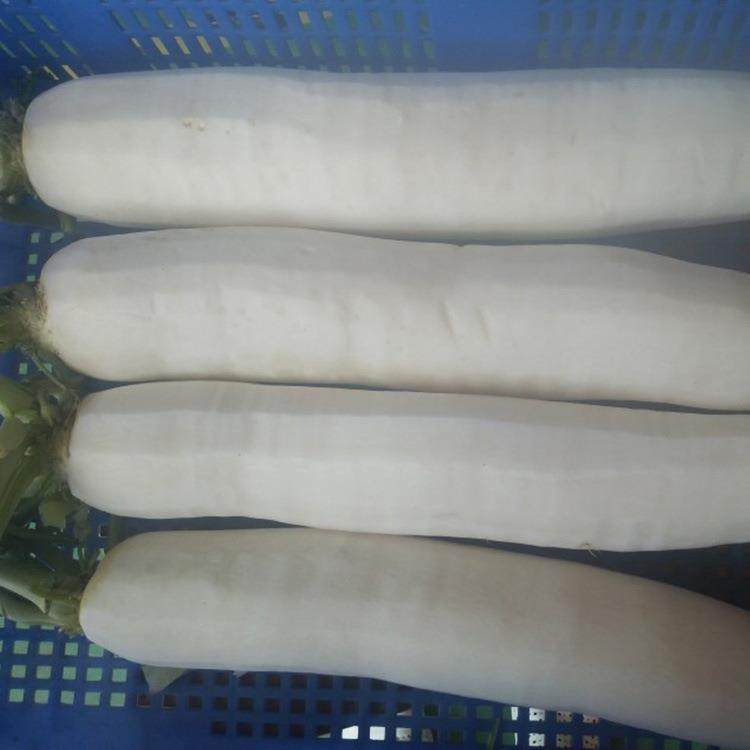 现货供应白萝卜去皮机白萝卜清洗削皮机行业蔬菜去皮机,淘宝优惠券,粉丝福利购,淘宝优惠卷