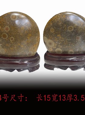 钱币石原石天然石钱币外蒙金钱石收藏石头摆件