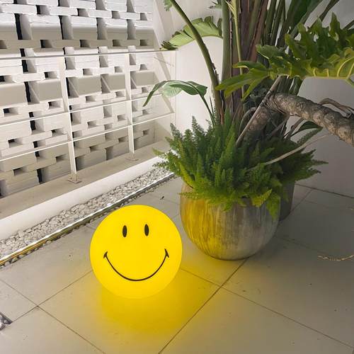 网红笑脸灯ins卧室儿童房装饰充电台灯荷兰创意氛围小夜灯落地灯 - 图1