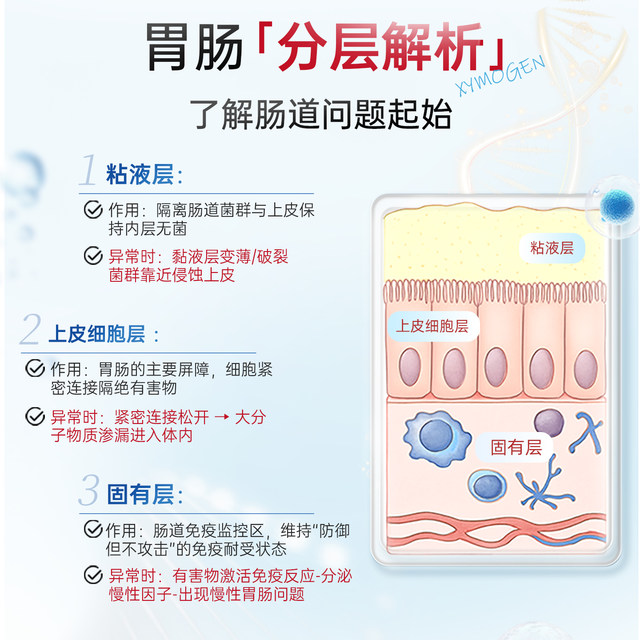 ສຸຂະພາບ XYMOGEN Glutamine ສະບັບປັບປຸງເພື່ອບໍາລຸງກະເພາະອາຫານ