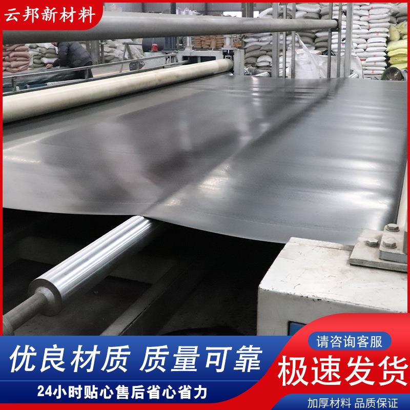 膜垃圾填埋存场防渗河储道防渗化工污PHU水池尾矿场HDPE防渗土工 - 图0