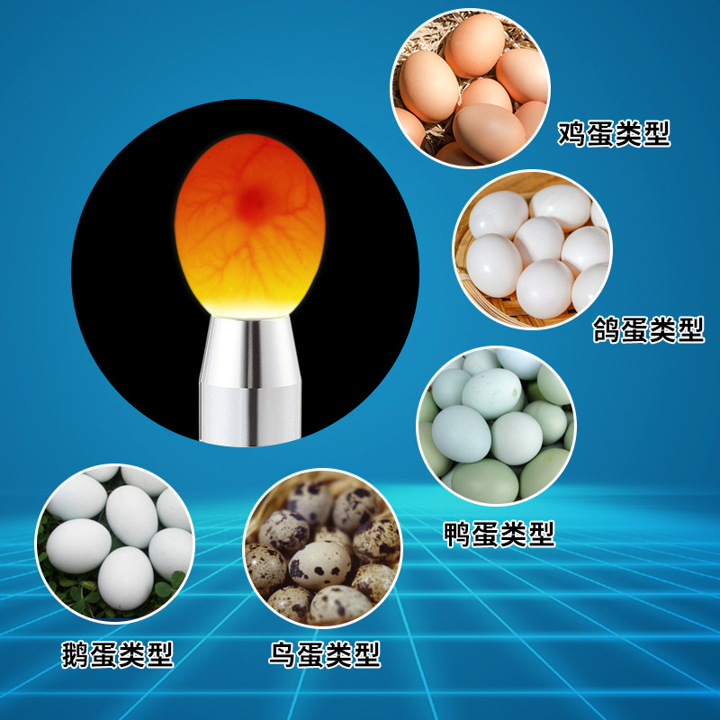 照蛋器led手电筒孵化专用验蛋孵蛋可充电照蛋灯蛋种检查冷光孵化 - 图1