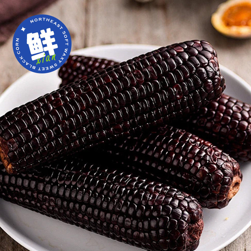 开源保丰东北黑糯玉米甜玉米真空包装新鲜采摘甜粘苞米低脂早餐