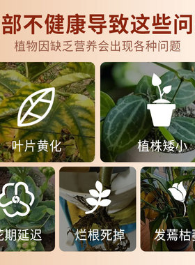厂家批发艾尚棵植物绿植花卉生根液落地生根通用型营养液养花肥料