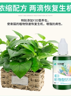得能量植物复活液通用型浓缩营养液家用栀子花兰花型花卉专用肥料
