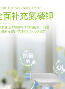 艾尚棵多肉矮胖胖小盆栽植物矮胖素矮化增色室内专用免稀释营养液