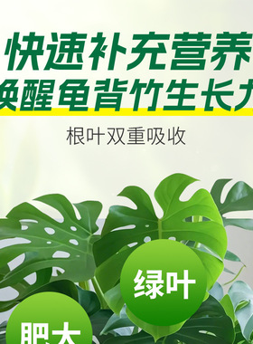 艾尚棵龟背竹专用肥家用养花颗粒肥料绿植果蔬有机肥氮磷钾花肥料