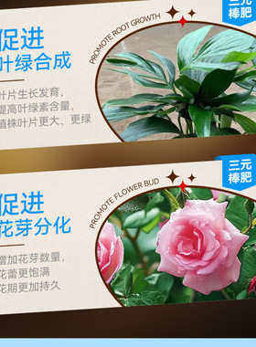 彩虹芯肥肥料花卉绿植用水溶肥花肥养花通用菜园蔬菜专用肥花肥料