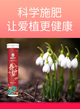 复合肥园艺植物营养片花满簇花肥绿植室内植物盆栽花卉缓释肥养护