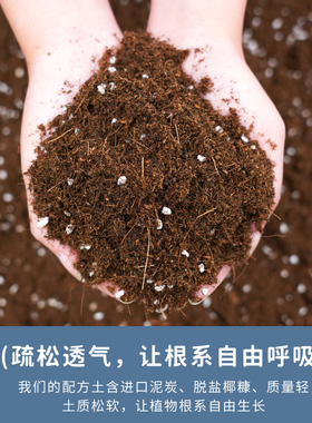 营养土养花通用型种菜种花多肉植物专用种植花土壤家用有机泥炭土