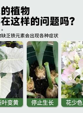 硫酸亚铁花肥料月季花栀子花家用水溶肥喜酸植物防黄叶专用叶面肥