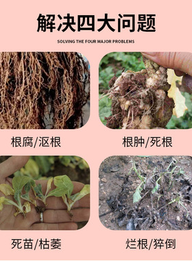 批发植物护根液生根液园艺室内通用型盆栽花卉绿植营养液活力素肥