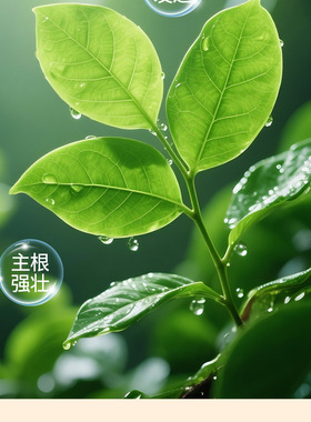 艾尚棵盆栽小菜园果蔬肥植物纳米富硒生根液养花种菜通用型花肥料