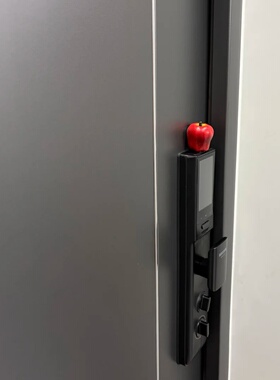 门锁上的磁吸苹果泰可爱了