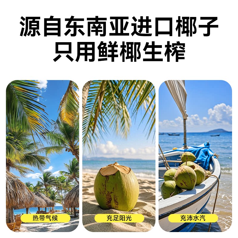 【活动】摘养生榨椰子汁植物奶蛋白饮料250ml*10瓶整箱装