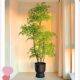 Nandina bamboo simulated green plant large living room floor-standing ornament
