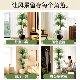 Simulated green plant Dracaena landscaping high-end light luxury