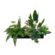Simulated green plant landscaping combination entrance hall indoor atmosphere