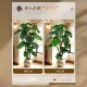 Light luxury simulated monstera floor-standing potted plant in the living room