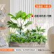 Simulated green plants, artificial flowers, landscaping, balcony decoration and fence