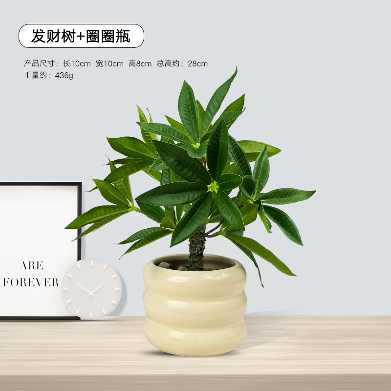 仿真绿植小型桌面摆件发财树小盆栽仿生植物办公室客厅装饰假花,淘宝优惠券,粉丝福利购,淘宝优惠卷