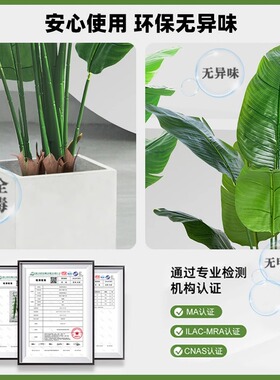 天堂鸟仿真绿植高端轻奢仿生花卉