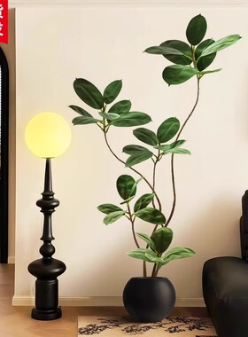 仿真绿植黑金刚橡皮树假植物摆件