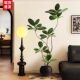 Simulated green plant black diamond rubber tree fake plant ornaments