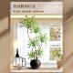 Nandina bamboo simulated green plants high-end light luxury indoor large