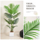 Simulated green plant sibirica plant potted living room decorations