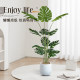 Monstera simulated green plants living room large potted fake green plants
