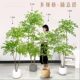 Nandina bamboo simulated green plant large living room floor-standing ornament