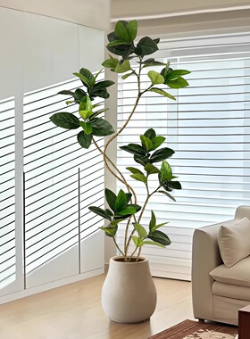孟加拉榕树仿真绿植室内造景