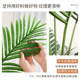 Simulated green plant sibirica plant potted living room decorations