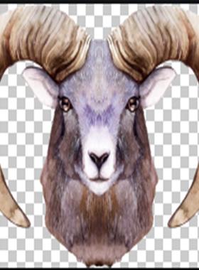 厂家直销动物头骨山羊头骨挂件客厅书房酒吧餐厅墙壁装饰挂件