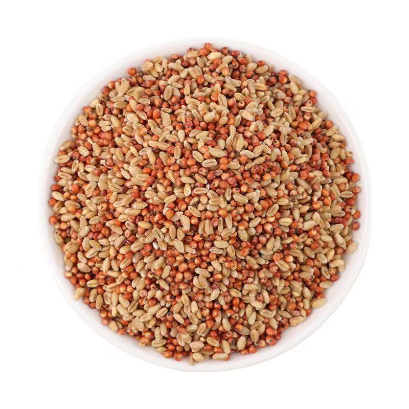 高粱小麦子混合喂鸽子喂鸡鹌鹑渣糁红高梁营养鸽粮食保健砂观赏鸽,淘宝优惠券,粉丝福利购,淘宝优惠卷