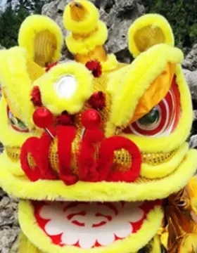 舞狮道具新款整套双人南狮舞狮子