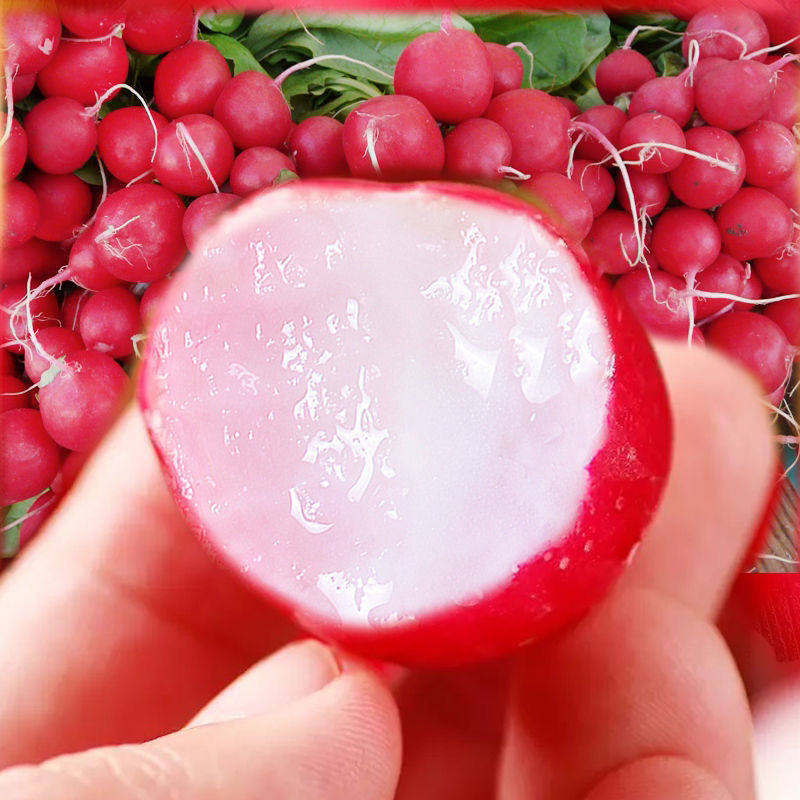 新鲜樱桃萝卜小萝卜红心萝卜迷你整小萝卜新鲜带土泡菜专用蔬菜,淘宝优惠券,粉丝福利购,淘宝优惠卷