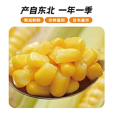 锅圈食汇甜玉米粒开袋即食80g*10袋[23元优惠券]-寻折猪