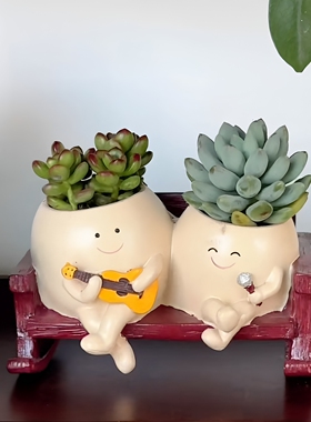 多肉乐队！治愈系双人摇椅花盆