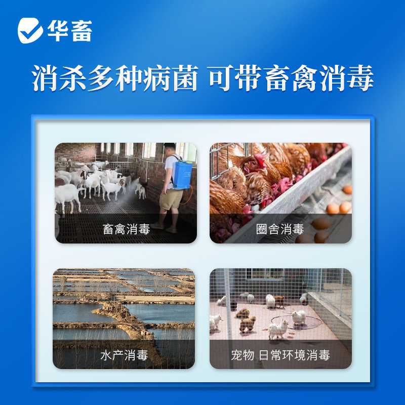 华畜过硫酸氢钾消毒剂兽用复合物粉猪场非瘟鸡舍消毒液养殖场专用,淘宝优惠券,粉丝福利购,淘宝优惠卷
