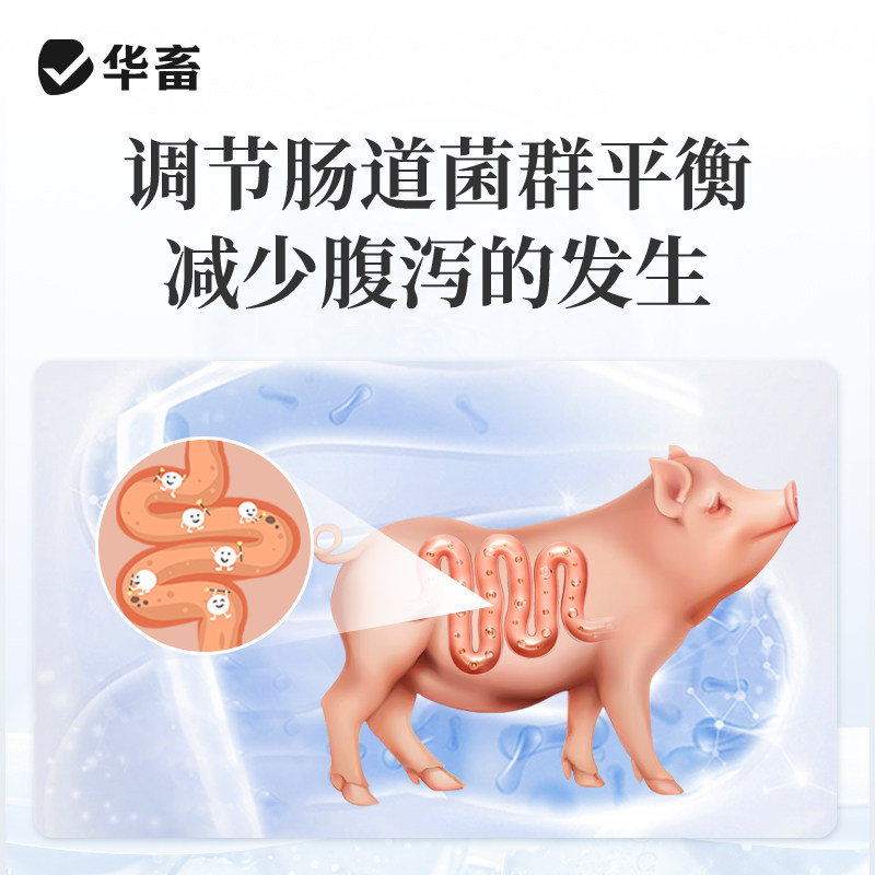 华畜丁酸梭菌浓缩液兽用益生菌猪牛羊鸡鸽禽用鸡儿健氨立消em菌液,淘宝优惠券,粉丝福利购,淘宝优惠卷