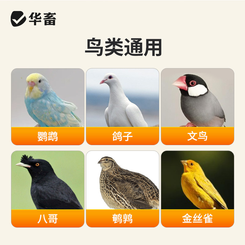 华畜鹦鹉鱼肝油补充维生素他命保健营养调理玄凤虎皮牡丹鸟用鱼油,淘宝优惠券,粉丝福利购,淘宝优惠卷